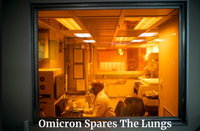Omicron Spares The Lungs